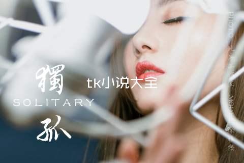tk小说大全